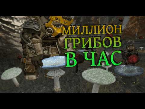 Видео: Как Лутать 200000 Грибов в День | STALCRAFT