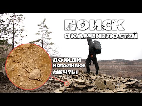 Видео: Нашел редчайшую окаменелость| Цель выполнена| Тест нового молотка