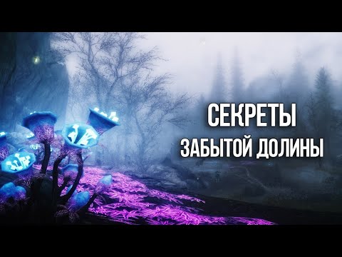 Видео: Skyrim Секреты и Тайные места Забытой Долины