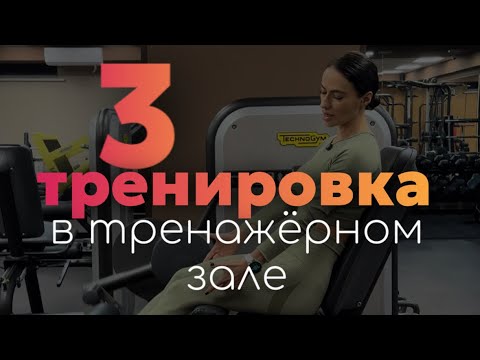 Видео: 1 ноября 2024 г.