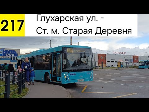 Видео: Автобус 217. Глухарская ул. - Ст. м. Старая Деревня