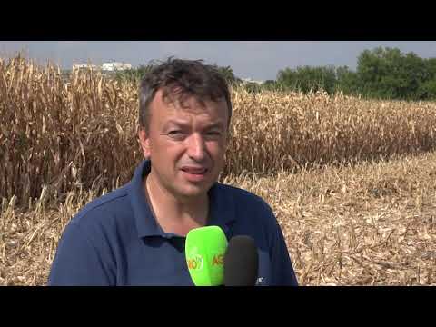 Видео: РЕКОРДНИ ДОБИВИ В ЦАРЕВИЦА ОТ ПИОНЕР