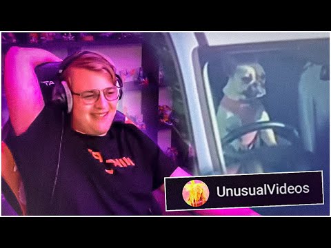 Видео: Пятёрка смотрит UNUSUAL MEMES COMPILATION V148 | Нарезка стрима ФУГА TV