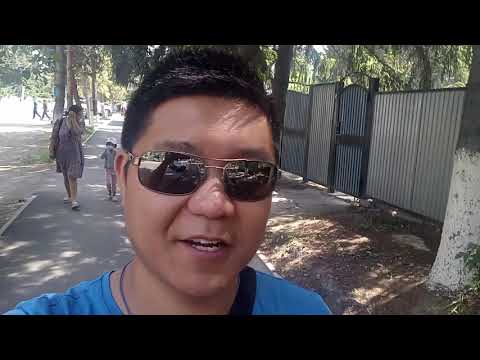 Видео: Очередной день в селе Панфилова. Обнаружили маковые поля, очень красивые