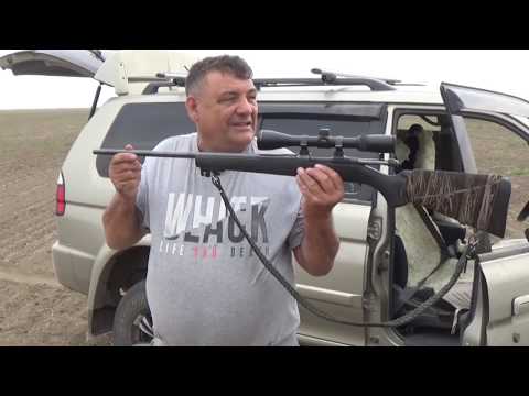 Видео: Охота на сурка байбака №3 2019г.  Винтовка Чезет-527 Варминт 223 Rem патроны Кентавр 3,36гр.