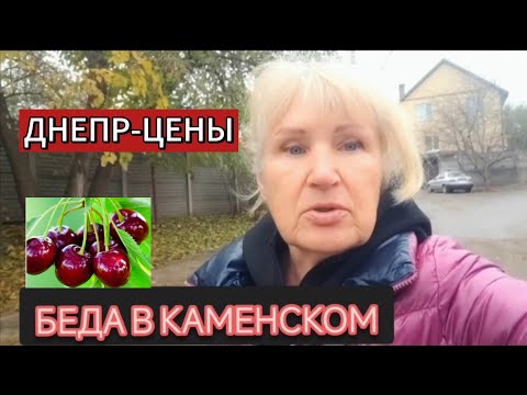 Видео: НЕЧЕЛОВЕЧЕСКАЯ ЖЕСТОКОСТЬ. Ева-акция.