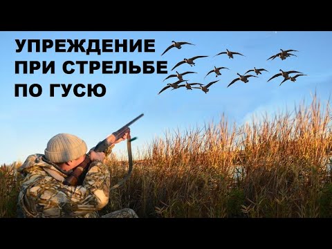 Видео: 💥О СТРЕЛЬБЕ ПО ГУСЮ ВЛЁТ.ПРАВИЛЬНОЕ УПРЕЖДЕНИЕ.