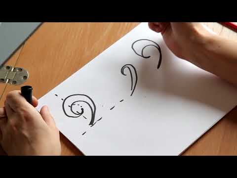 Видео: курс Создание орнаментов.