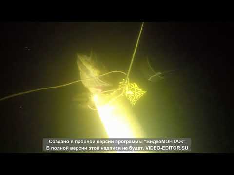 Видео: Нарезка выстрелов 2020 года на реке Случ