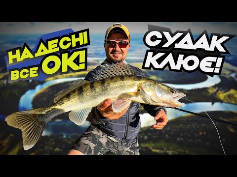 Видео: Осінь на Десні! Ми наловили судаків за 20 хвилин!