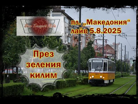 Видео: Една дъждовна сутрин I пл. „Македония“ 5.8.2025 фото лайв