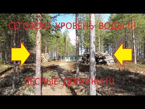 Видео: Лесные домики.Критический уровень воды на Сегозере. #Сегозеро #ОтдыхКарелия #РыболовныйГид #Заброска