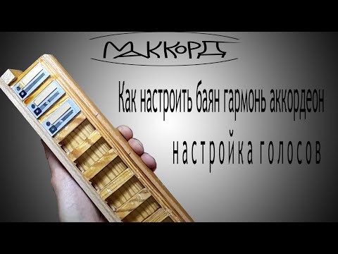 Видео: Как настроить баян гармонь аккордеон настройка  и перевосковка голосов