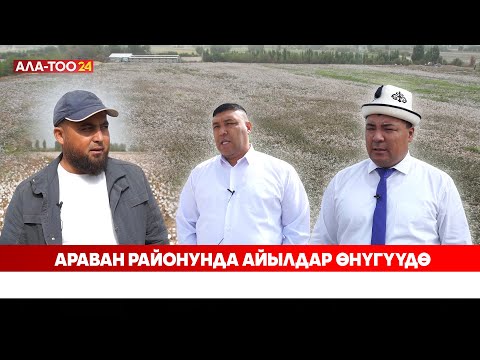 Видео: Араван районунда айылдар өнүгүүдө