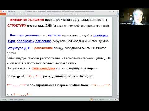 Видео: Современная теория множеств, дискретная оптимизация, математическая биология. Лекция 10 (8.4.2024)