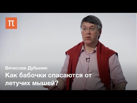 Видео: Разнообразие сенсорных систем — Вячеслав Дубынин