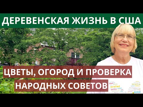 Видео: Деревенская жизнь в США. Цветы, огород и проверка народных советов. Обычные дни в деревне Америки.