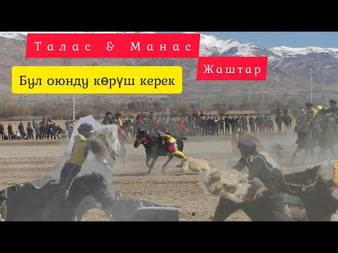 Видео: Финалга чейинки финал 🔥🔥🔥🐐 Талас & Манас ( жаштар )