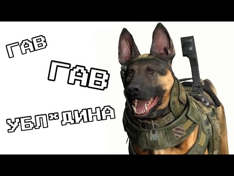 Видео: САМАЯ ПОТЕШНАЯ CALL OF DUTY (GHOSTS)