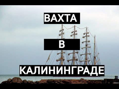 Видео: Вахта в Калининграде  Смотреть без СМС и Регистрации 🔥🔥🔥