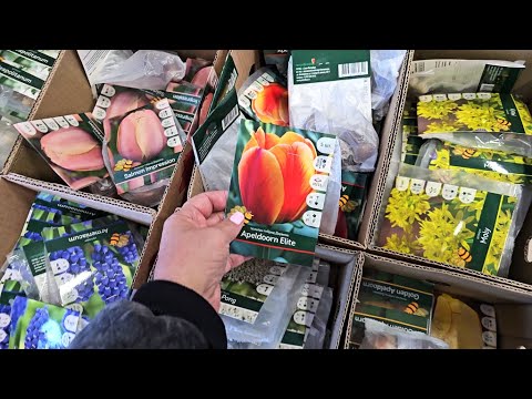 Видео: Магазин Светофор.Нужные новинки.И мои покупки