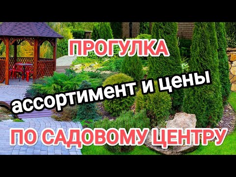 Видео: Садовый центр сад моей мечты