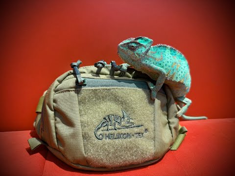 Видео: Обзор поясной сумки Helikon-Tex POSSUM.