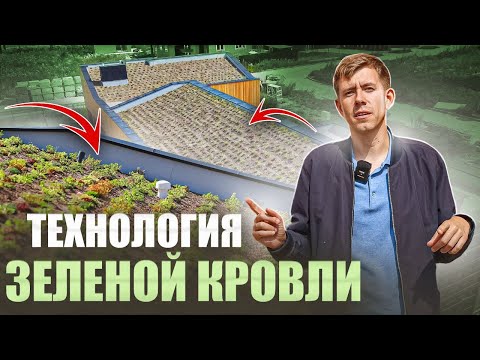 Видео: Технология озеленения плоской крыши🏘️