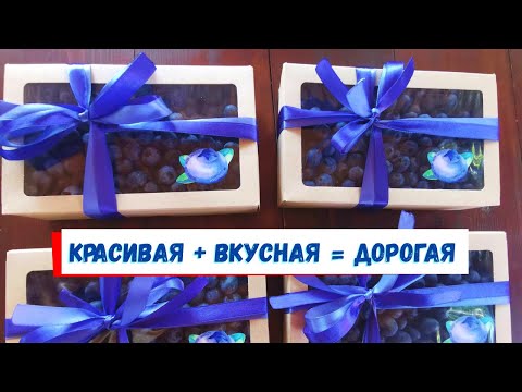 Видео: Голубика на шпалере