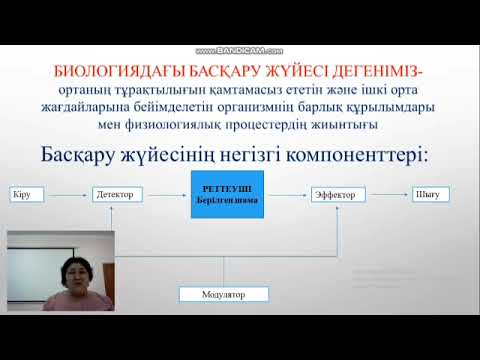 Видео: Жүйке жасушаларының құрылысы. Биологиядағы басқару жүйесі.