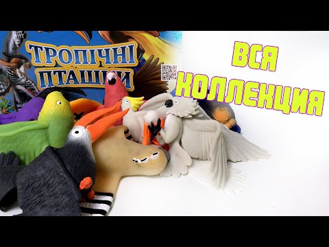 Видео: Тропические птицы вся коллекция! Обзор Стретч игрушки антистресс от Сбабам.