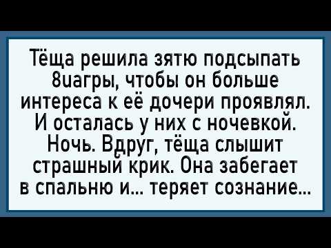 Видео: Как тёща с дозой переборщила! Сборник свежих анекдотов! Юмор!