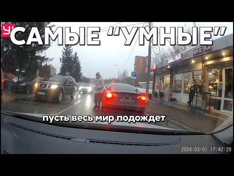 Видео: Подборка САМЫХ "УМНЫХ" водителей #965