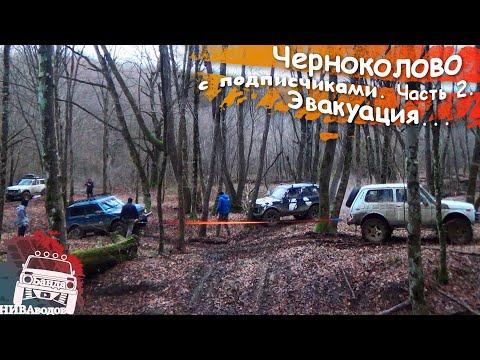 Видео: Черноколово с подписчиками. Часть 2. Эвакуация
