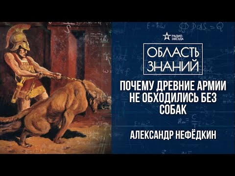 Видео: Боевые собаки в древности. Лекция историка Александра Нефёдкина