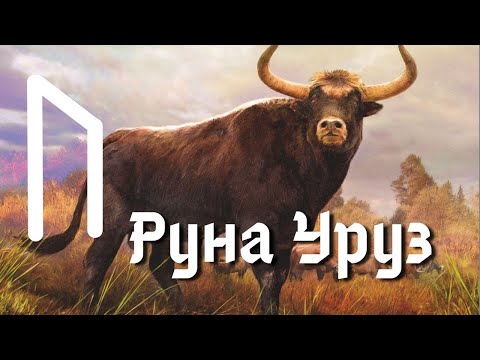 Видео: Руна Уруз. Основные значения и энергетика.