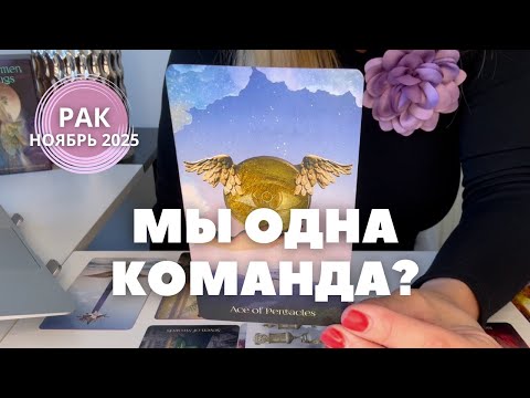 Видео: Рак НОЯБРЬ 2025 : МЫ ОДНА КОМАНДА? | Таро прогноз
