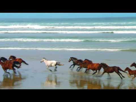 Видео: ГОДЫ,КАК ВАС ЗАДЕРЖАТЬ...