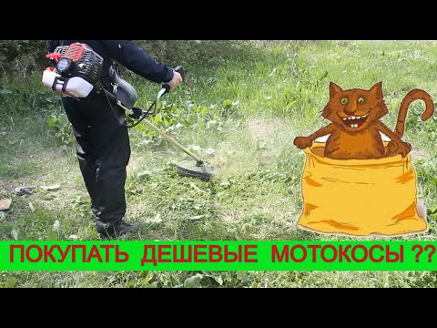 Видео: Прозрел 🧐  Тест Дешевой Мотокосы | Какую Бензокосу Выбрать