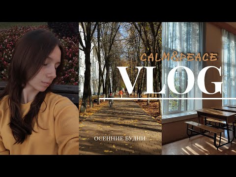 Видео: VLOG: спокойные осенние будни | день рождения, учёба, атмосфера осени