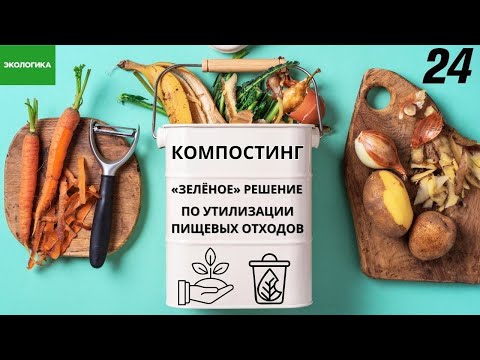 Видео: Лайфхаки от экоактивистов: компостинг – хоронить органические отходы во благо экологии! | Экологика