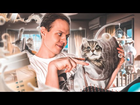 Видео: 7 НЕИЗВЕСТНЫХ ФАКТОВ О ЯПОНИИ: Почему японцы заводят животных, вместо детей