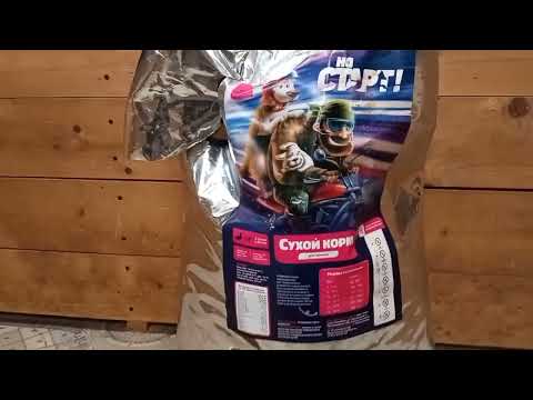 Видео: И снова про сухой корм. Почему я выбрала " На старт! "