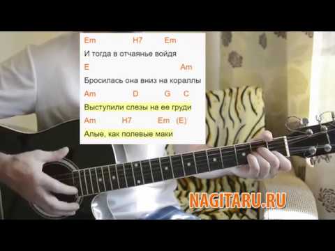 Видео: Дворовая - "Дельфиненок". Легкие аккорды и разбор песни под гитару для начинающих - nagitaru.ru