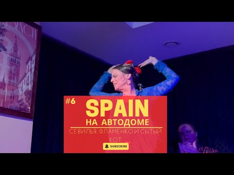 Видео: SPAIN на автодоме. Этап 6 - Севилья. Фламенко и сытый кот.