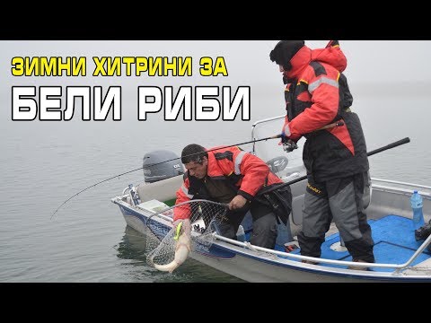 Видео: Зимни хитрини за БЕЛИ РИБИ