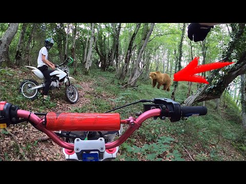 Видео: Самая ЖЕСТКАЯ ПОКАТУШКА. История об ОПАСНОМ МЕДВЕДЕ!