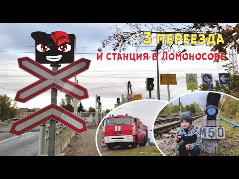 Видео: 2021 Три переезда в г. Ломоносов