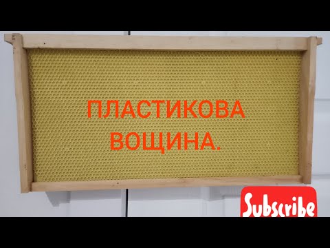 Видео: Яку вощину вибрати ? Пластикову чи з воску?