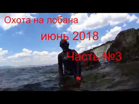 Видео: Охота на лобана Июнь 2018 Часть №3